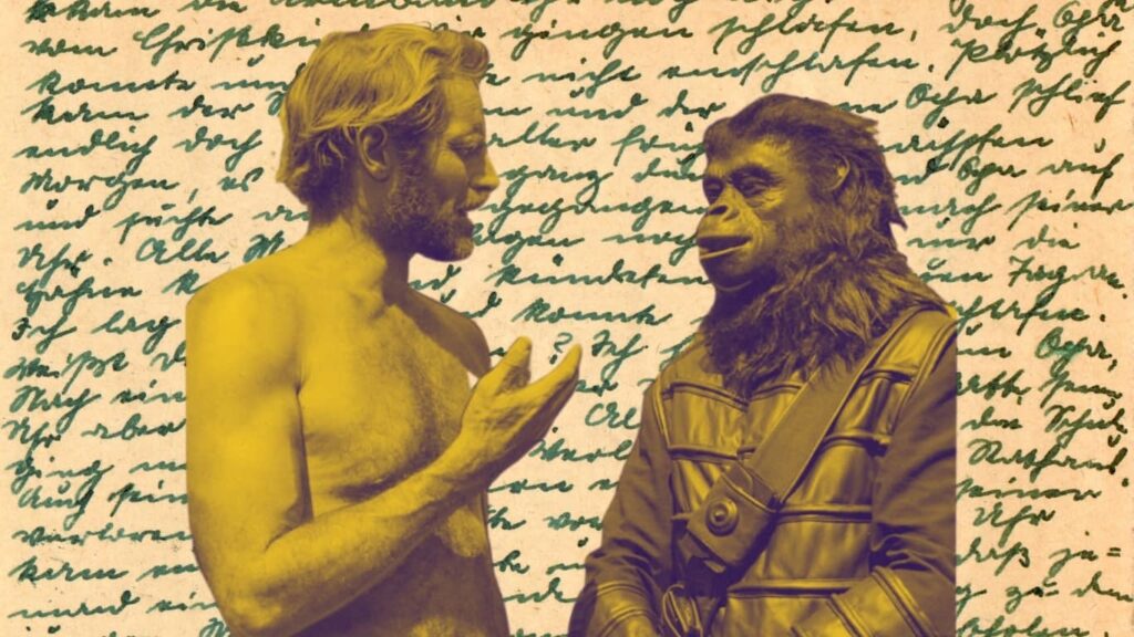 El significado de las palabras importa.