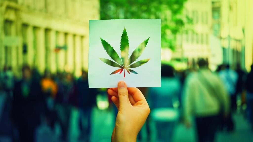 Se publicó el Reglamento para Cannabis en México.