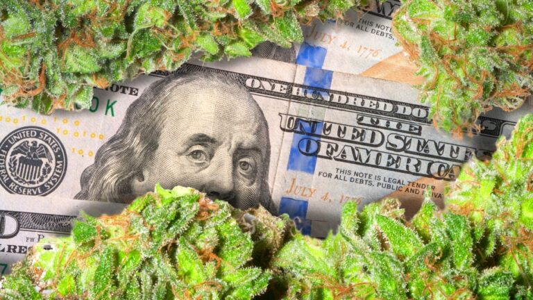 La marihuana es negocio: Nuevo México invertirá 300 MDD para producir
