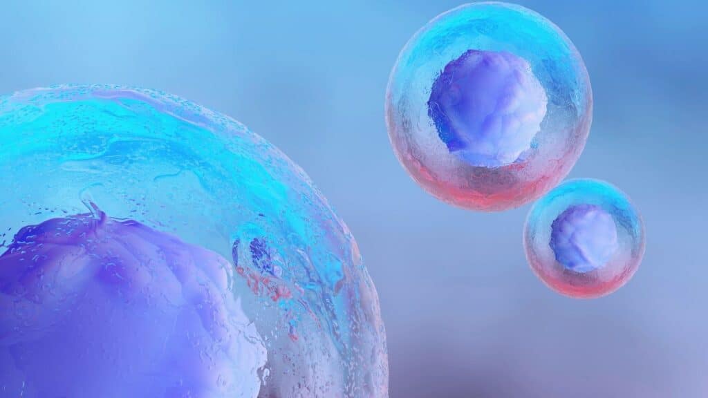 Las fuerzas mecánicas de las células, clave en el desarrollo del cáncer.